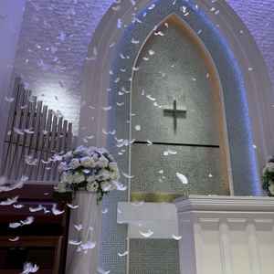 実際に羽を降らせていただきましたが、想像以上の量と、良質な羽で思っていたよりもとても豪華！