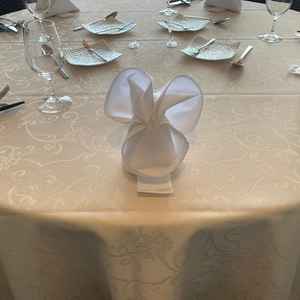 子ども用ナプキン(可愛い)