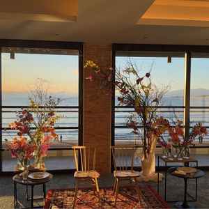 逆光が少し気になる感じがしました。