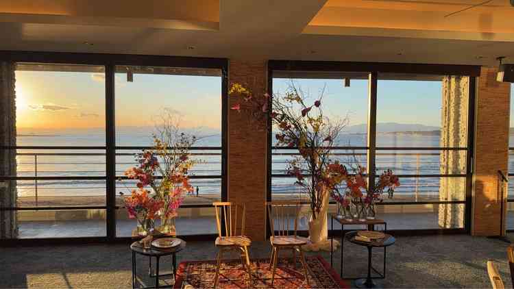 逆光が少し気になる感じがしました。