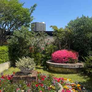 口コミ画像2