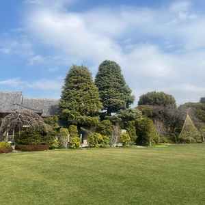 中庭は都会とは思えない開放感があり、素敵な写真が撮れるだろうと思いました。