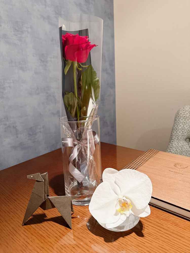 スタッフの方が手作りしたお馬さんと用意していただいたバラの花。お心遣いが素敵でした。