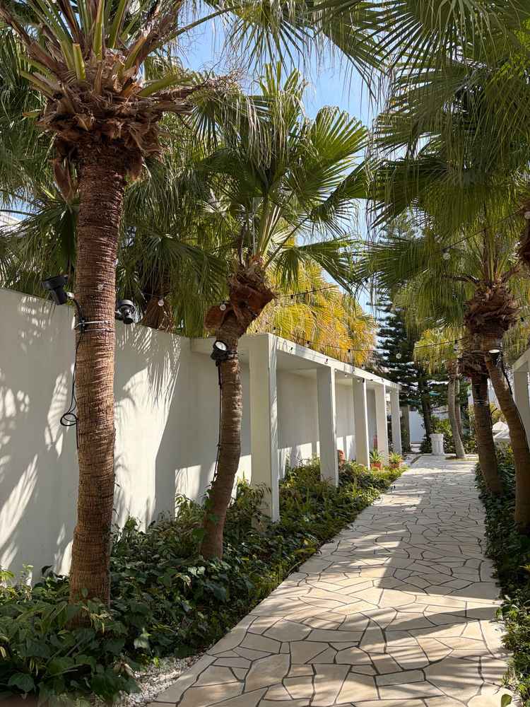アプローチ。ヤシの木等により、一気に外の雰囲気と変わり良い