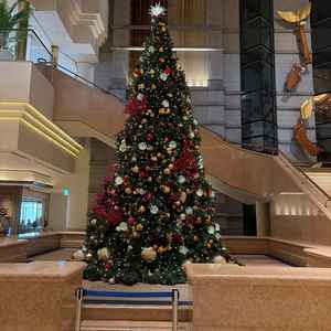 ホテル入ってすぐに大きなクリスマスツリーが飾ってありました。横の階段で写真を撮られる方も多いそうです