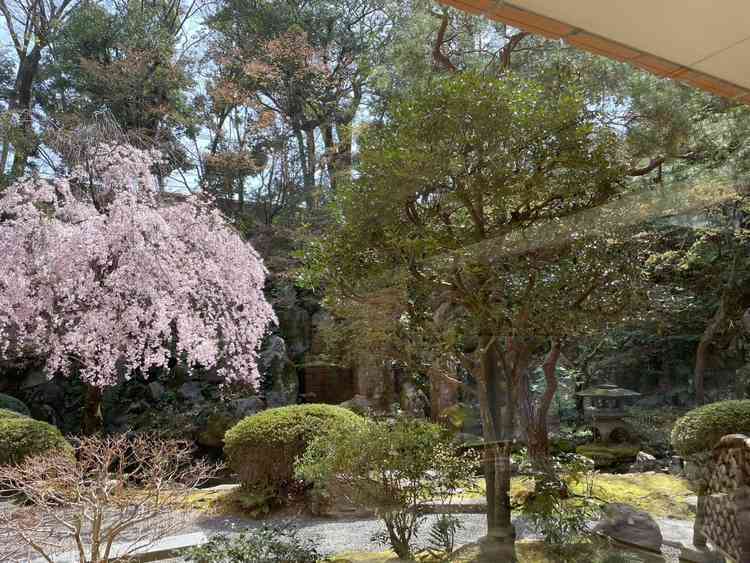 ユーザーが投稿した画像1
