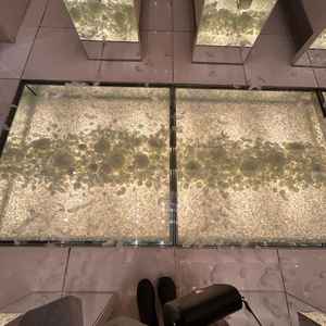 ガラスのバージンロードには白い薔薇が敷き詰められていて、ライトアップされていてとても綺麗でした。