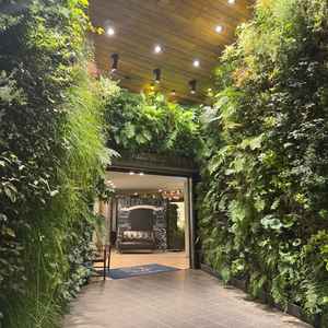 緑が綺麗で温かみのある入り口