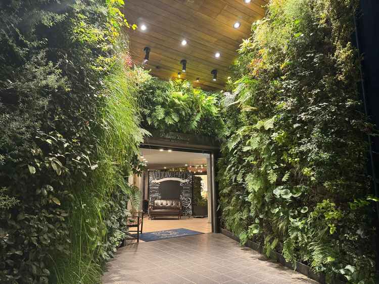 緑が綺麗で温かみのある入り口