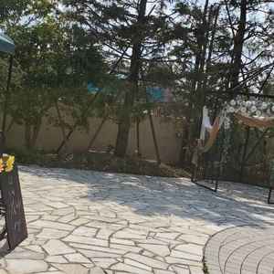 お庭の写真。花が飾ってあり華やかで、温かみがあり、木々の隙間から溢れる日差しが心地よかったです。