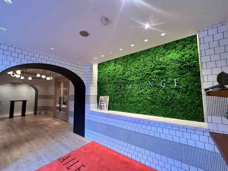 玄関（自然調）