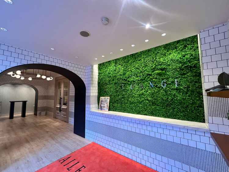 玄関（自然調）