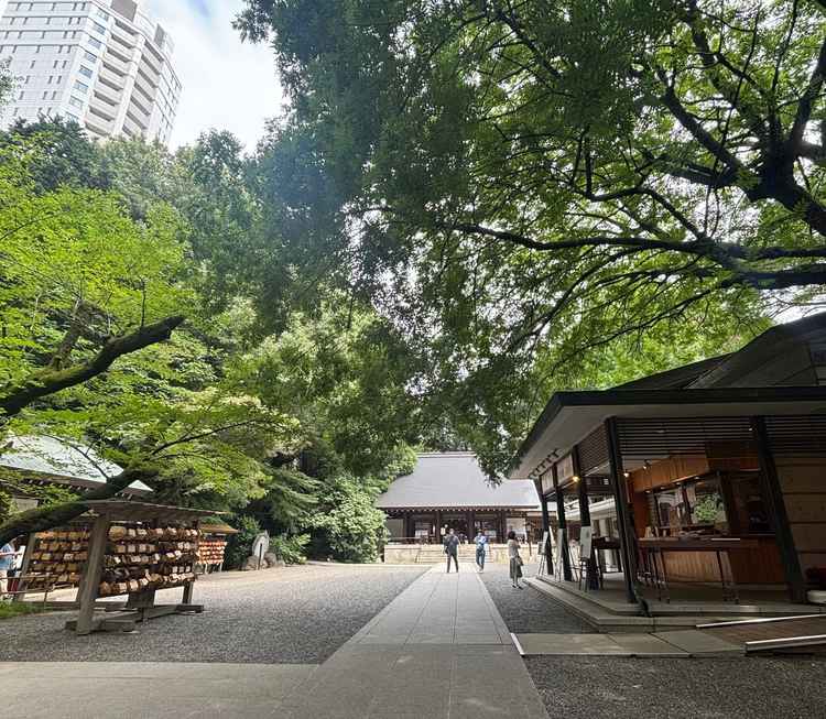 神社は静かで広かったです。