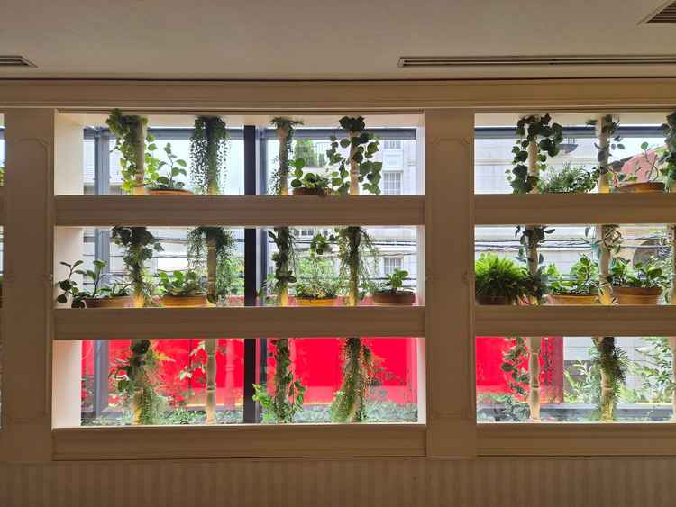 2つ目に見学した披露宴会場の窓際には沢山の植物が装飾されており、緑の多い空間に癒されました。