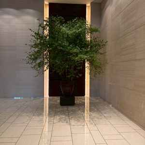 一階の写真スポット。