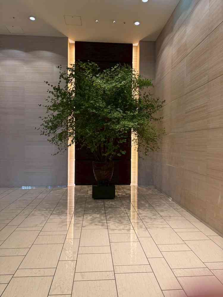 一階の写真スポット。