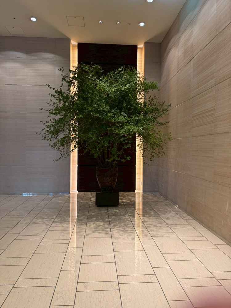 一階の写真スポット。