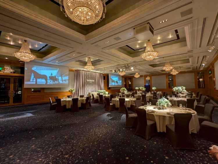 披露宴会場のスター。