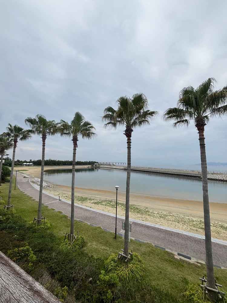 テラスに出ると海を一望でき、海を背景に写真撮影が楽しめる。
