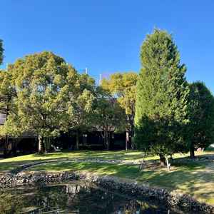 チャペル外の庭園。常緑樹が綺麗です。