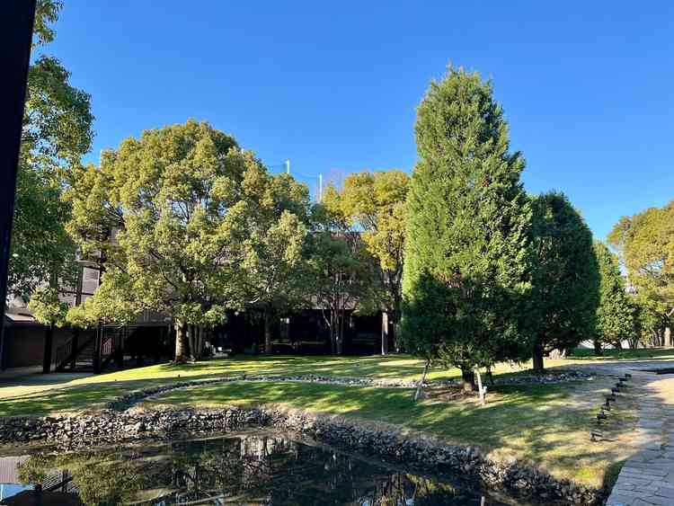 チャペル外の庭園。常緑樹が綺麗です。