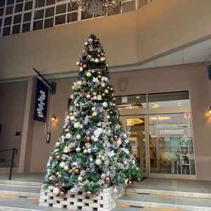 建物入口のクリスマスツリー。入口から季節を感じられてとても綺麗だった。