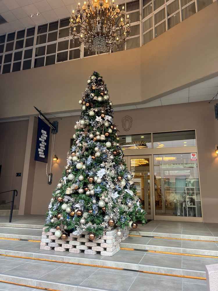建物入口のクリスマスツリー。入口から季節を感じられてとても綺麗だった。