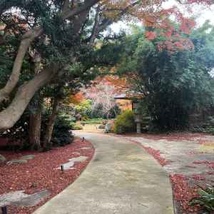 庭園入り口付近