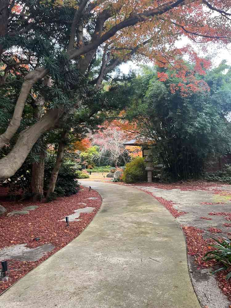 庭園入り口付近