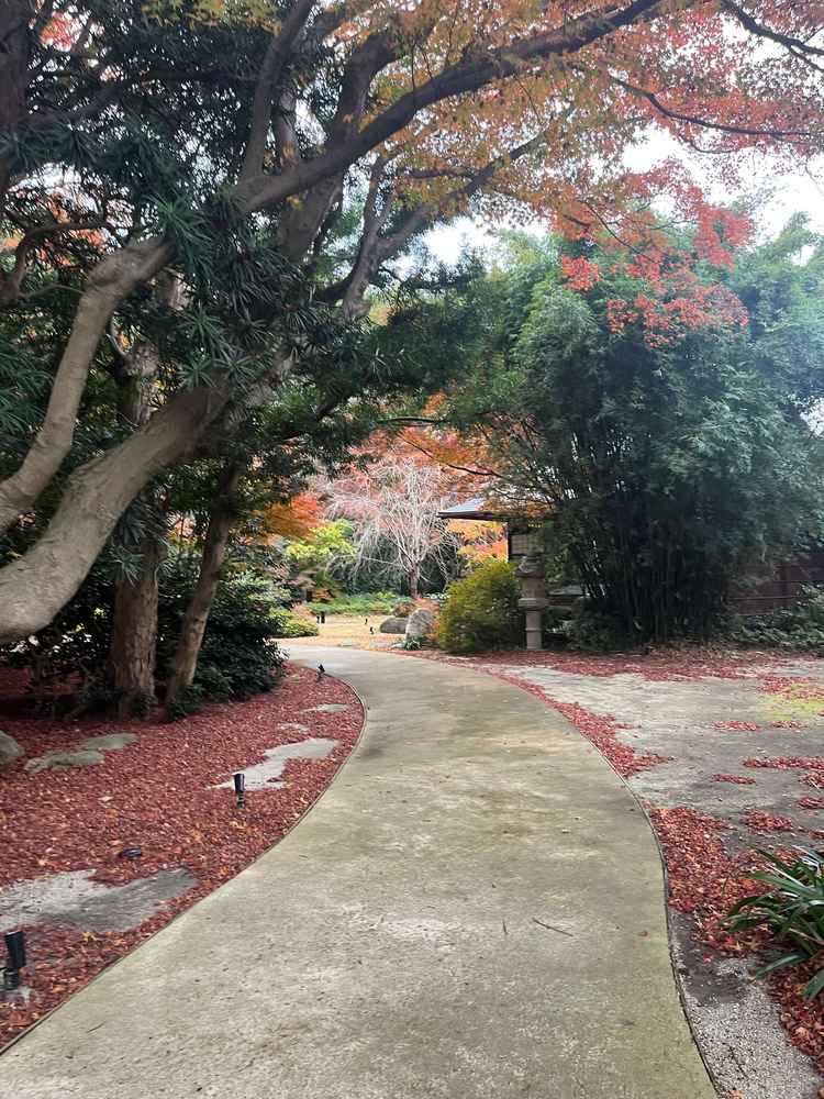 庭園入り口付近