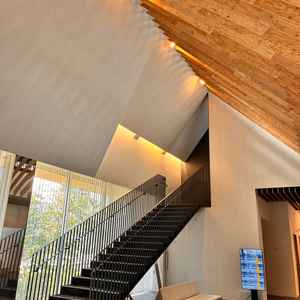 ロビーは木と光が組み合わさって建築美が感じられる。