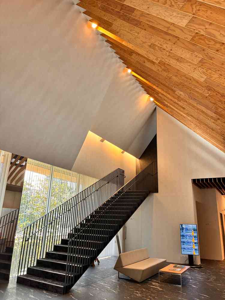 ロビーは木と光が組み合わさって建築美が感じられる。
