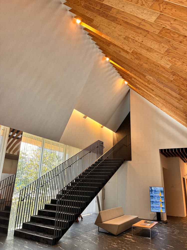 ロビーは木と光が組み合わさって建築美が感じられる。