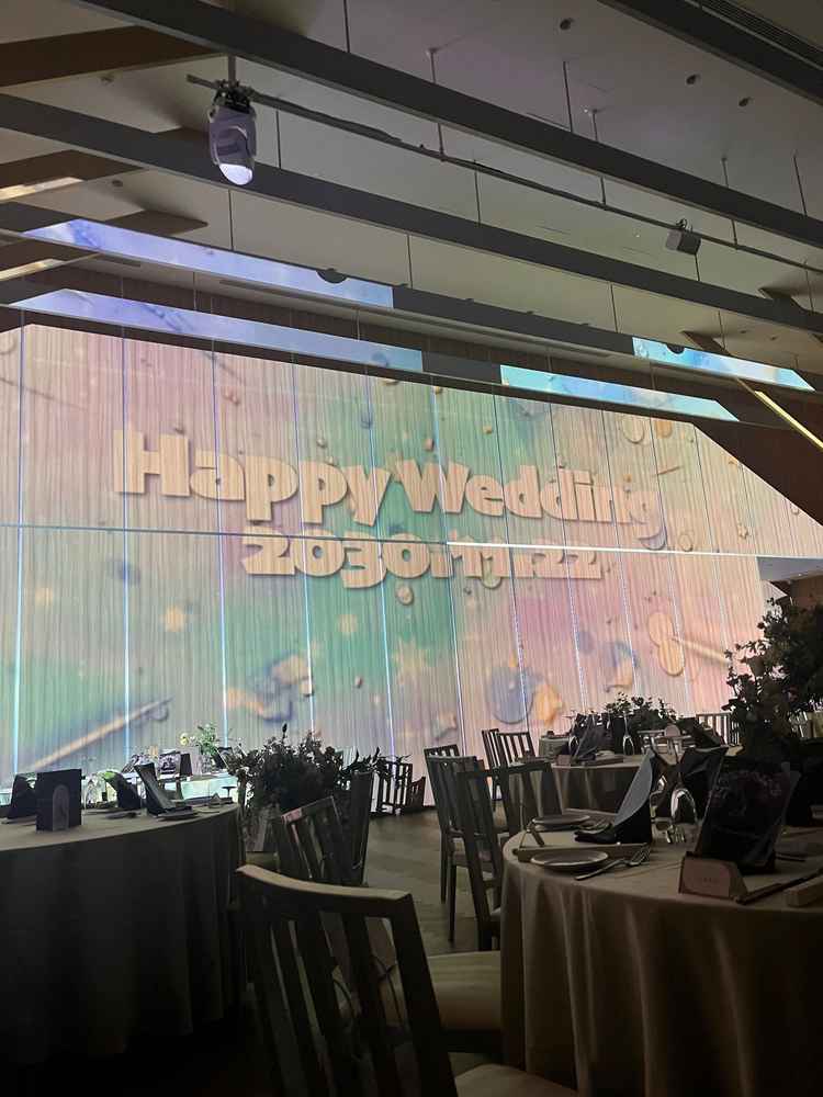 熊本では初のプロジェクションマッピング導入だそうです。子ども見入ってました。