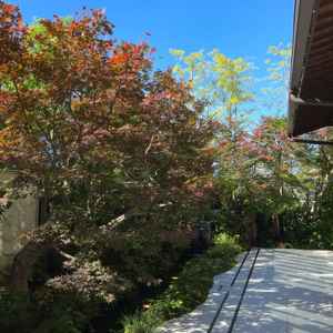 3枚目と同様の会場で、綺麗な庭もあり、こちらを余興や入場に使うことができるということでした