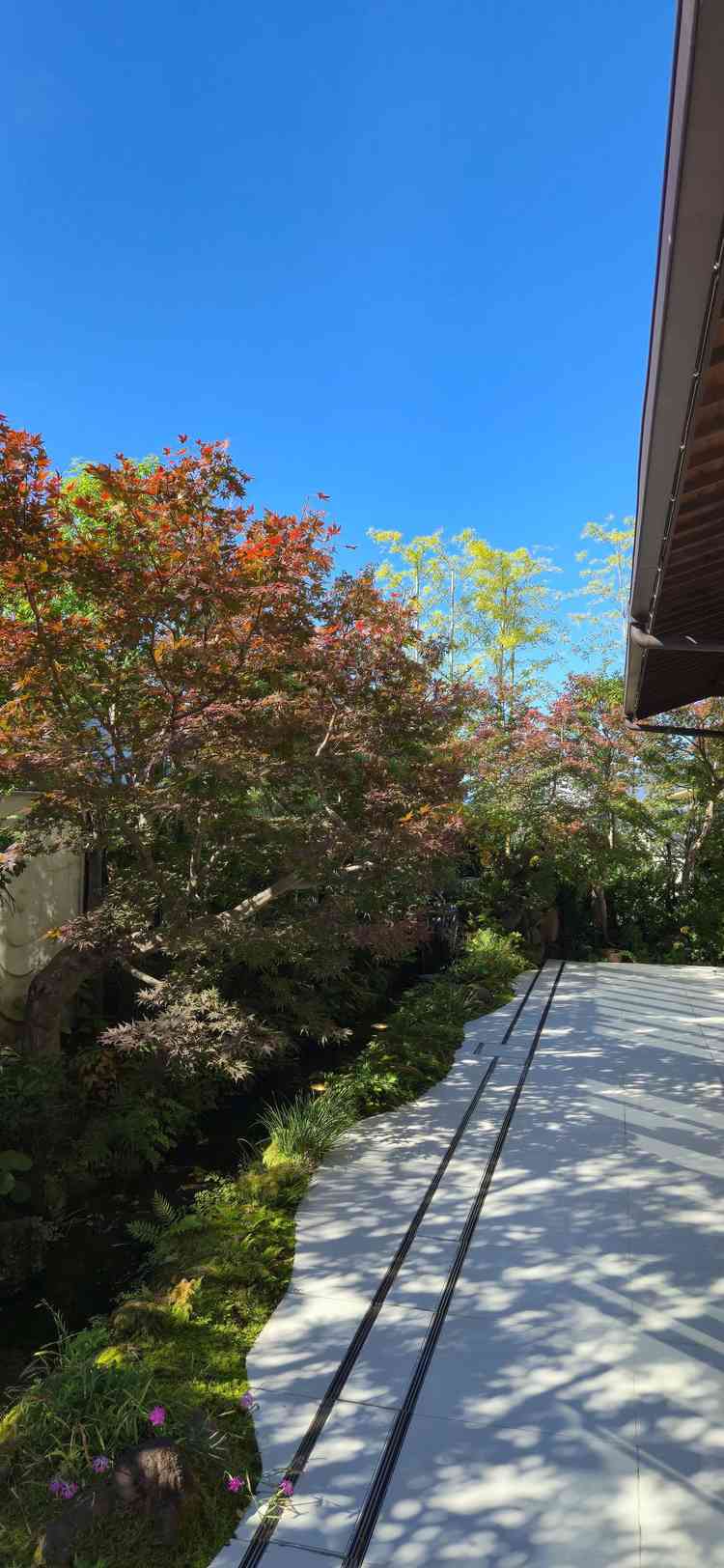 3枚目と同様の会場で、綺麗な庭もあり、こちらを余興や入場に使うことができるということでした