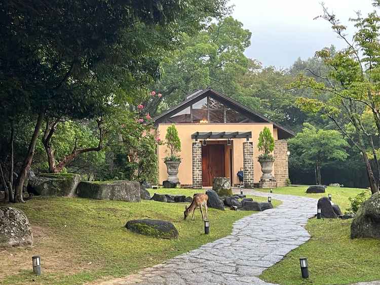 自然に囲まれた素敵な雰囲気で、鹿が訪れているのも奈良らしく印象的でした。