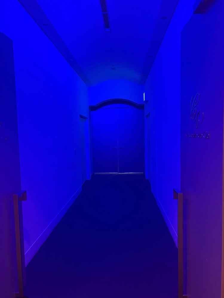 挙式会場に入る前の扉は母親のお腹の中にいるイメージで青色の光にしてると聞きとても幻想的で良かった。