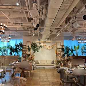 会場はカジュアルで暖かい雰囲気。高砂の横が本物の植木なので花をたくさん飾らなくてもグリーン感が綺麗。