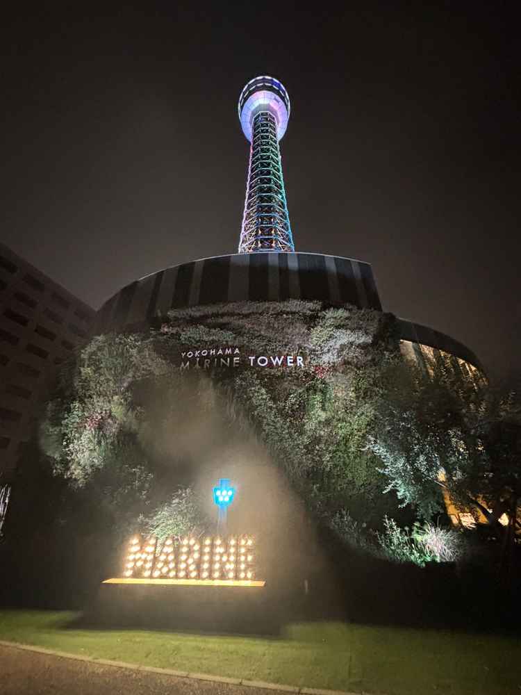 夜はライトアップされていてとても綺麗です。