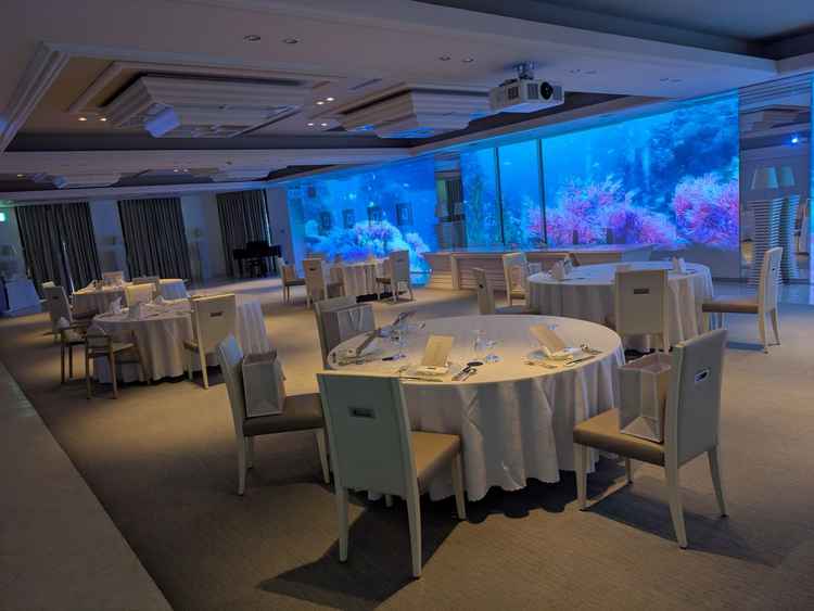 壁一面にプロジェクターが映し出せサプライズにぴったりでした