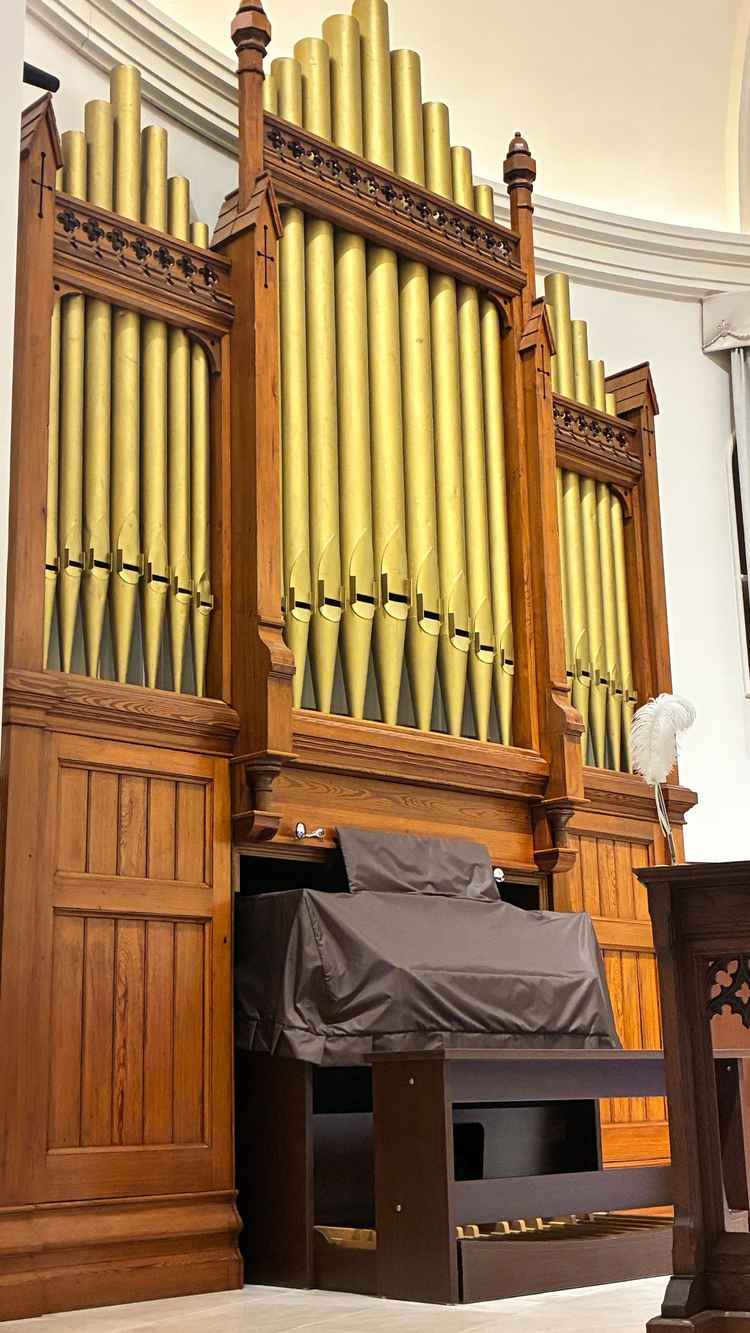 パイプオルガン。11メートるある天井に響き渡る音色をぜひ聴きたい。存在感抜群のパイプオルガン！