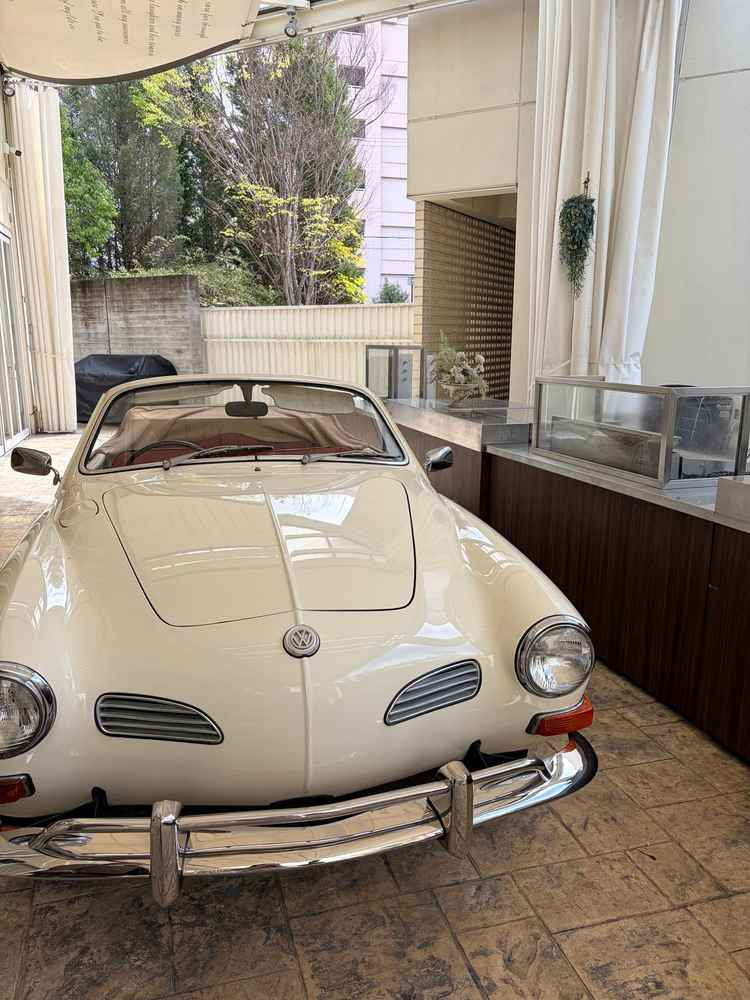 オープンカーでの入場演出は面白いと思いました。