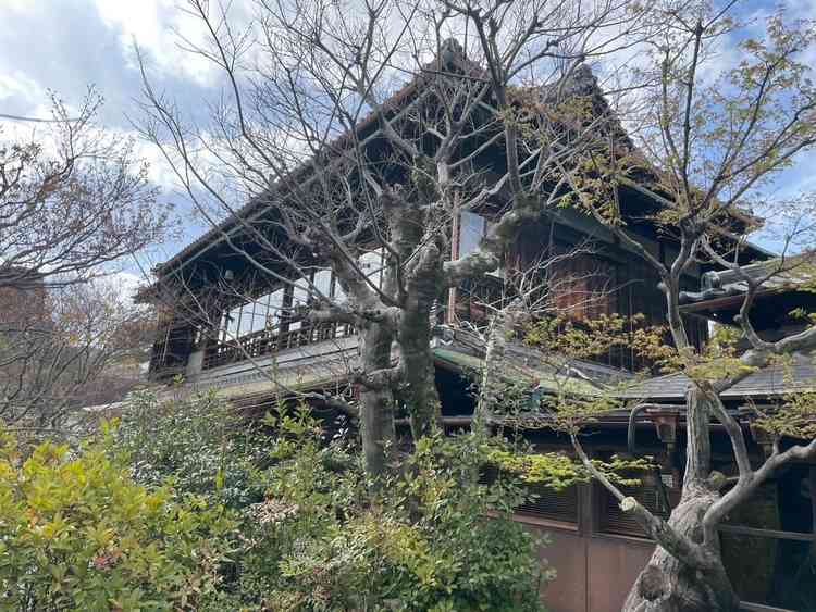 ユーザーが投稿した画像3