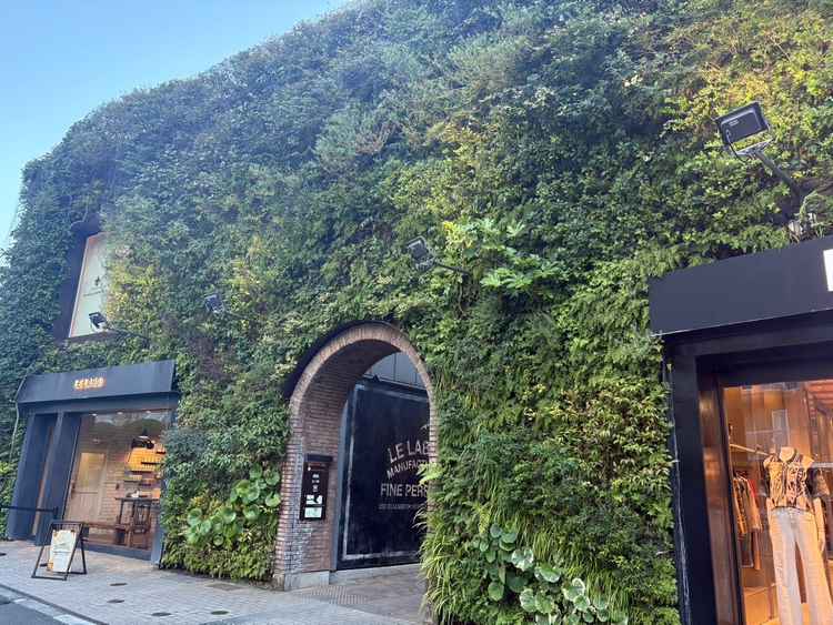 グリーンに覆われた入り口。