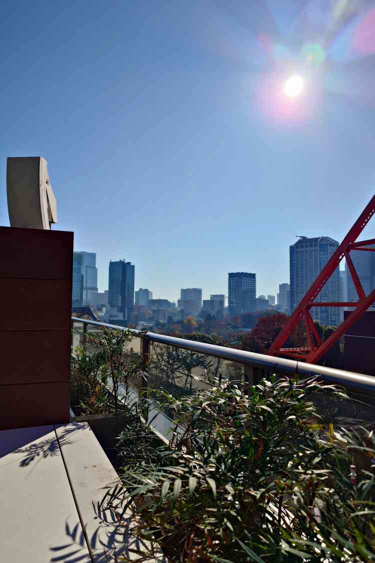 チャペルの付近に屋上がある。東京タワーもかなり近かったです。