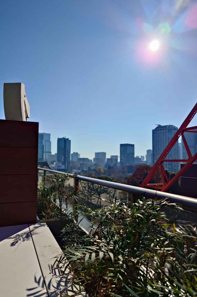 チャペルの付近に屋上がある。東京タワーもかなり近かったです。