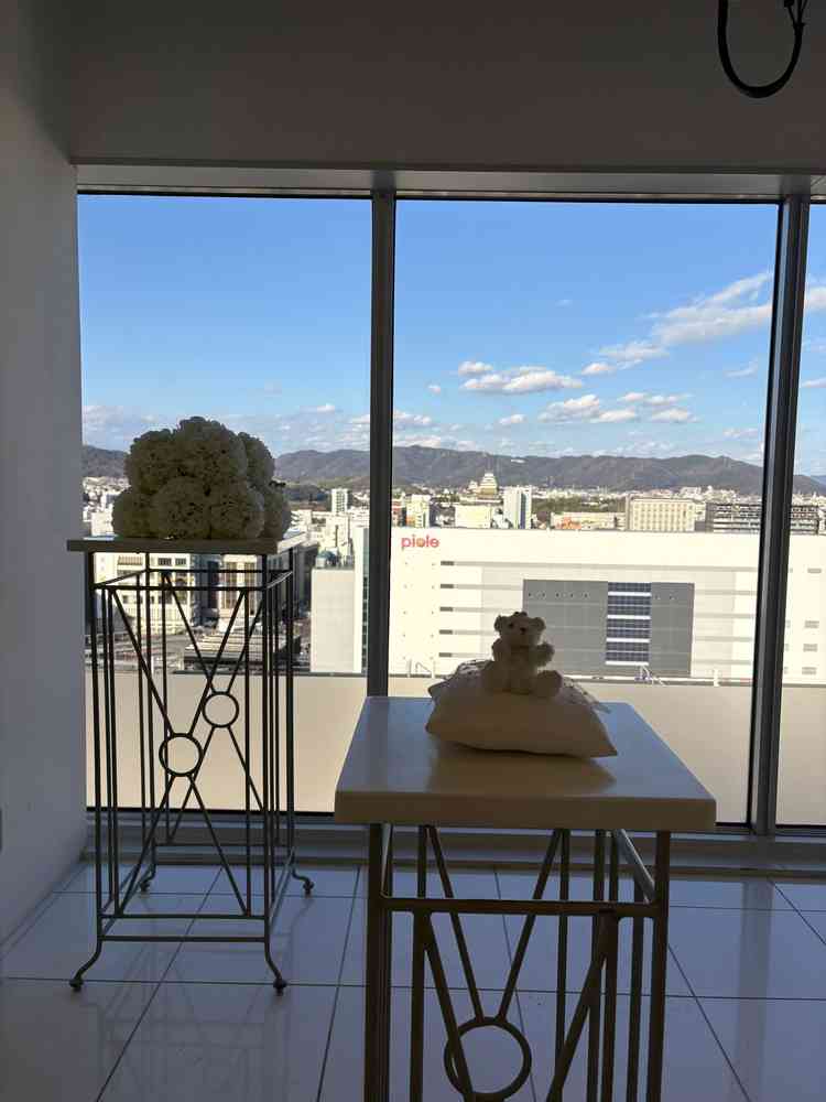 挙式会場からの眺め。姫路城が正面に見えます。