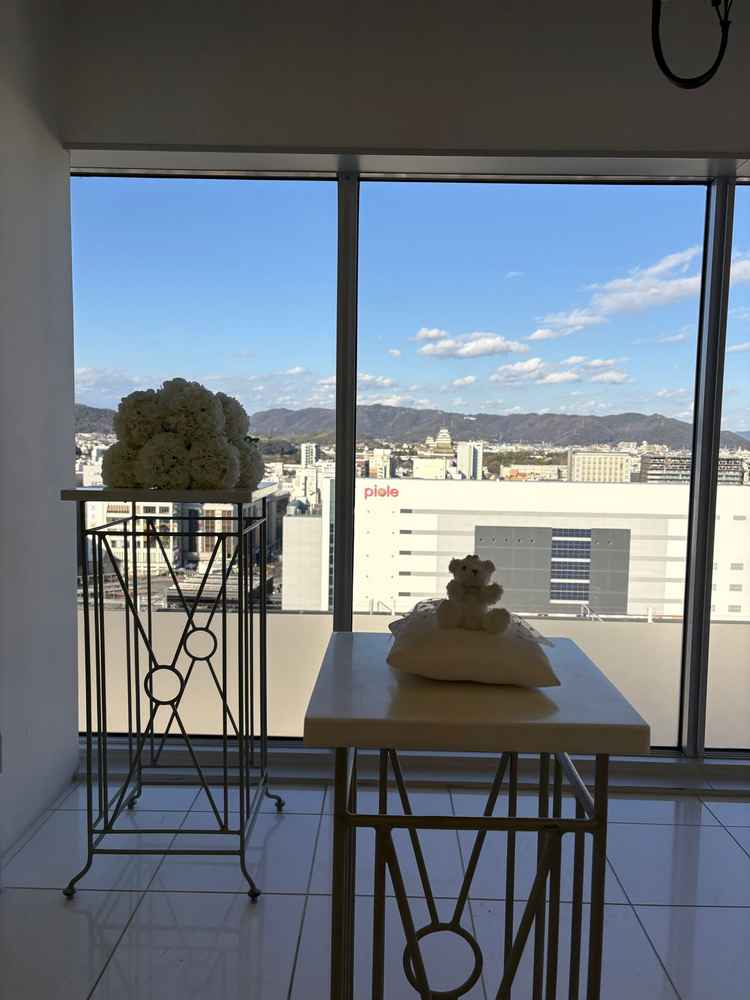 挙式会場からの眺め。姫路城が正面に見えます。