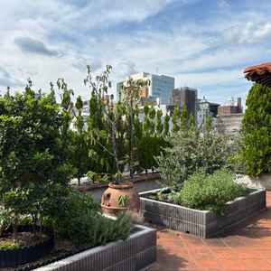 披露宴会場の屋上。ここでバルーンを飛ばしたり、乾杯をすることもあるそうです。